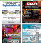 Volume 16 Issue 15