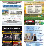 Volume 16 Issue 36