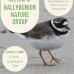 BALLYBUNION NATURE GROUP – 1