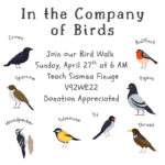 In the Company of Birds – 1