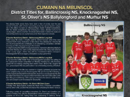 Local wins in Cumann na mBunscol